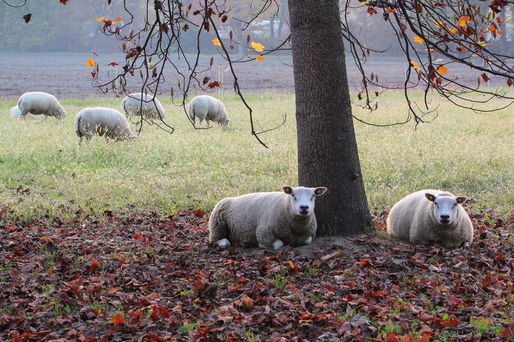 Agriturismo Il Torrione Pinerolo Zewnętrze zdjęcie