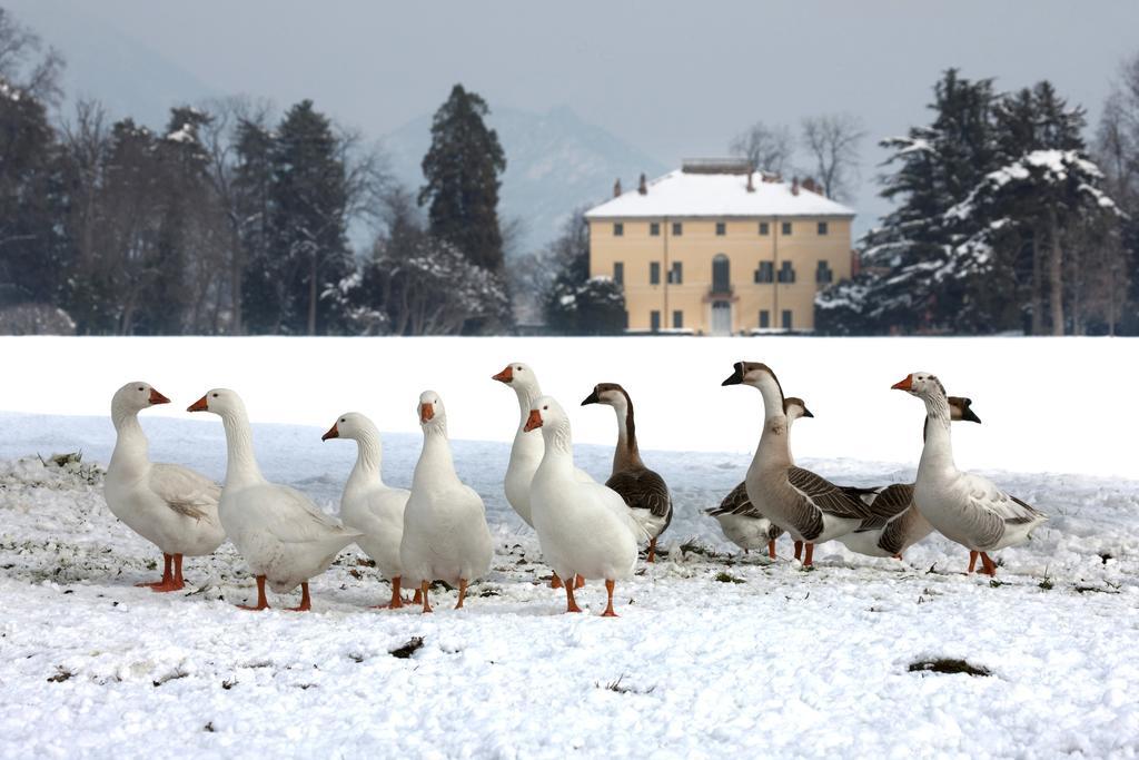 Agriturismo Il Torrione Pinerolo Zewnętrze zdjęcie