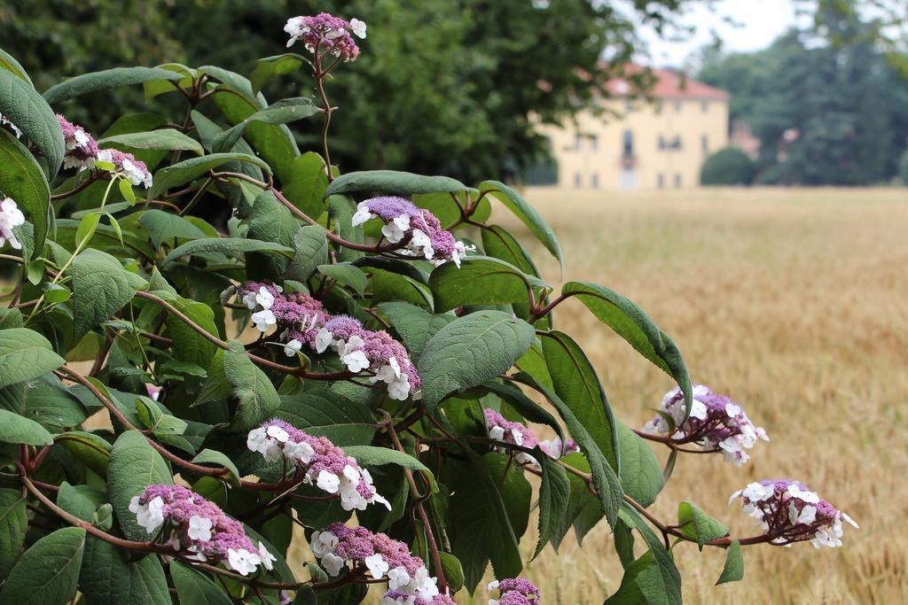 Agriturismo Il Torrione Pinerolo Zewnętrze zdjęcie